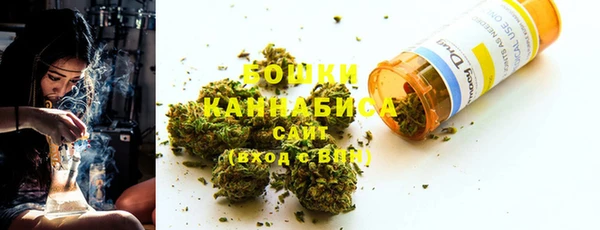 ГАЛЛЮЦИНОГЕННЫЕ ГРИБЫ Верея