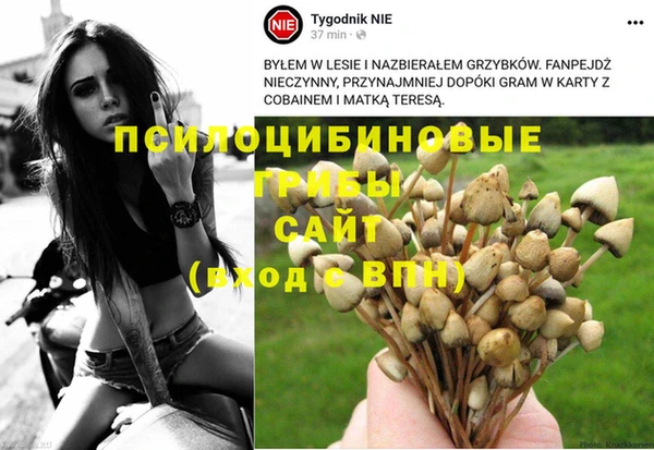 сатива Верхнеуральск