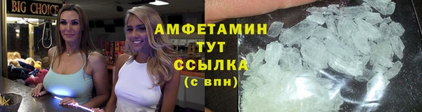 ГАЛЛЮЦИНОГЕННЫЕ ГРИБЫ Верея