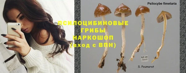 сатива Верхнеуральск