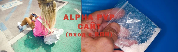 ГАЛЛЮЦИНОГЕННЫЕ ГРИБЫ Верея
