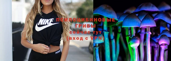 сатива Верхнеуральск