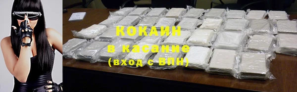 ГАЛЛЮЦИНОГЕННЫЕ ГРИБЫ Верея