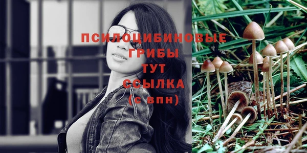 ГАЛЛЮЦИНОГЕННЫЕ ГРИБЫ Верея