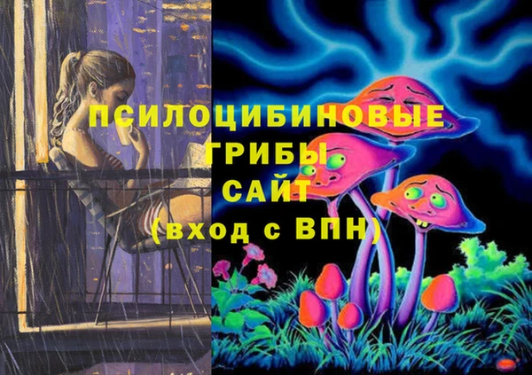 ГАЛЛЮЦИНОГЕННЫЕ ГРИБЫ Верея