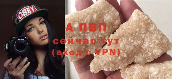 PSILOCYBIN Волосово