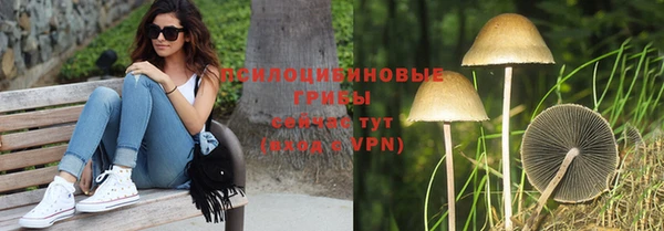 прущая мука Верхний Тагил